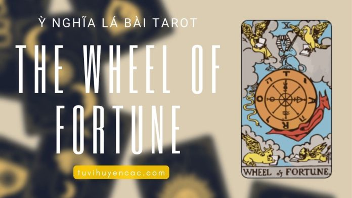 Ý nghĩa lá bài tarot wheel of fortune