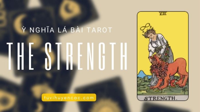 Ý Nghĩa Lá Bài The Strength
