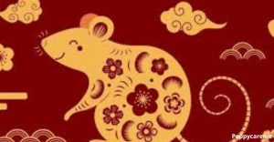 Tử Vi 2023 Nữ Mạng Canh Tý