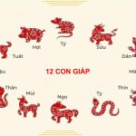 Tử vi ngày 30-11-2025 của 12 con giáp -tu-vi-hang-ngay
