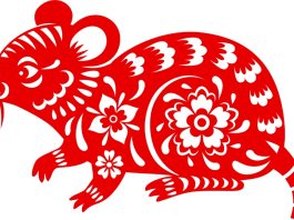 Tử vi 2022 Nữ mạng Giáp Tý