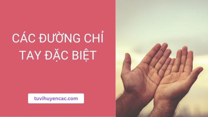Các đường chỉ tay đặc biệt